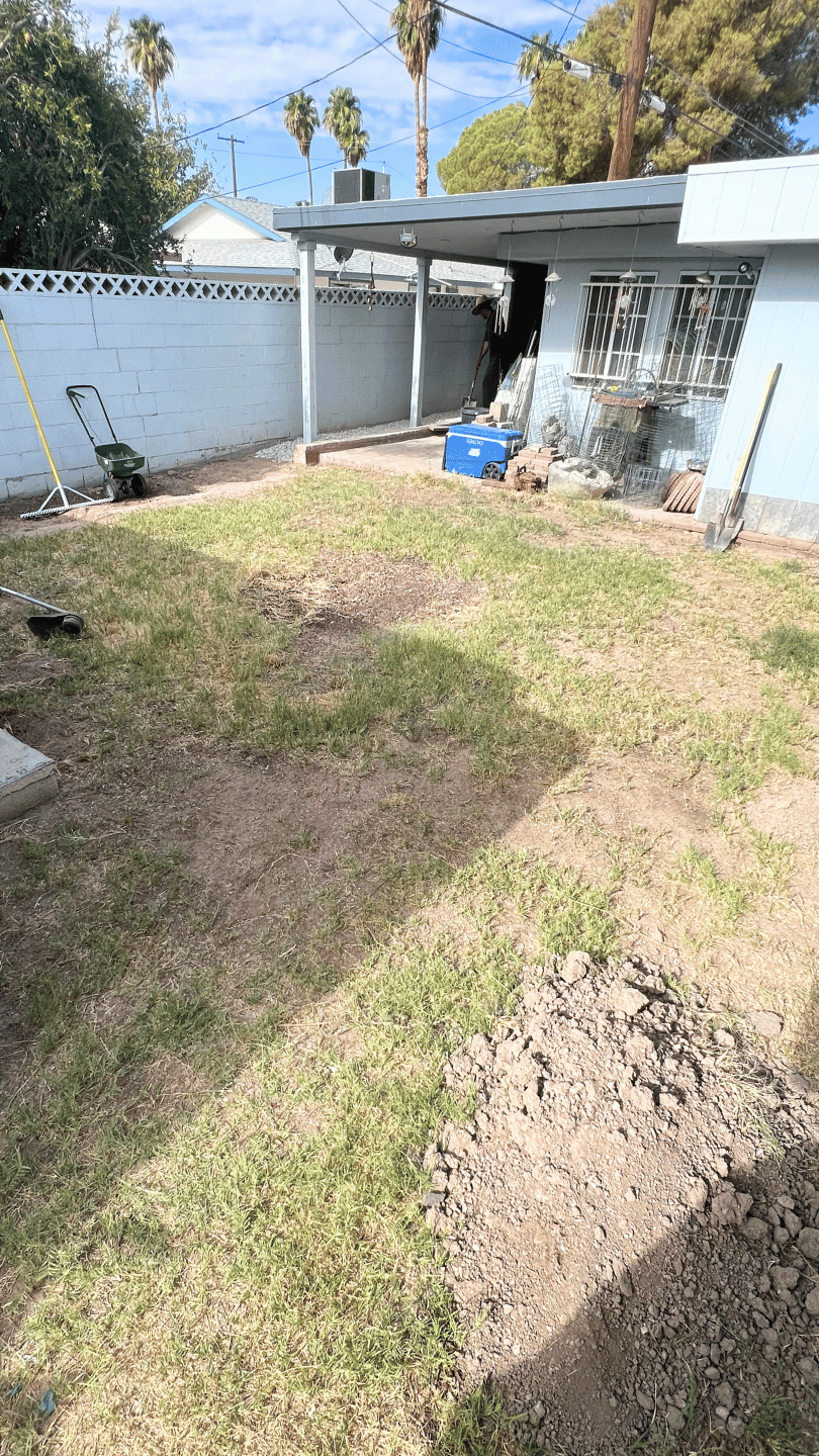 Before backyard renovation